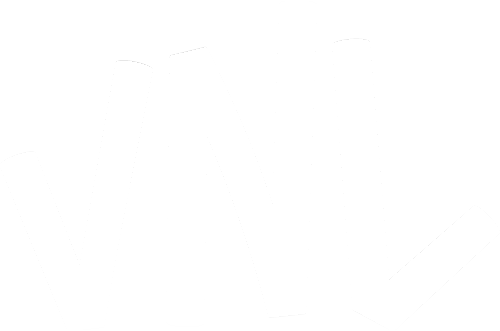 Logo VNL